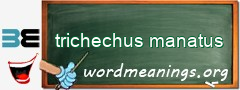 WordMeaning blackboard for trichechus manatus